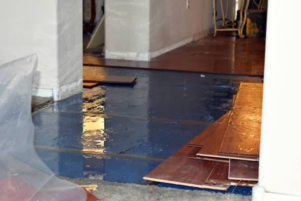 Professional Sewage Cleanup technician working in Raymond, IL